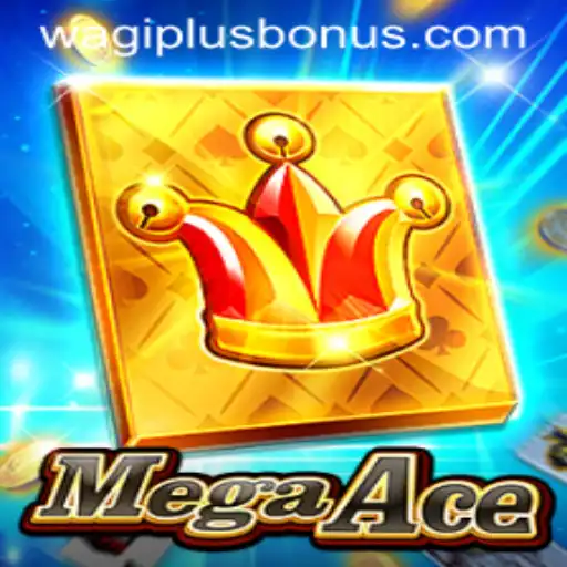MegaAce: A Comprehensive Guide